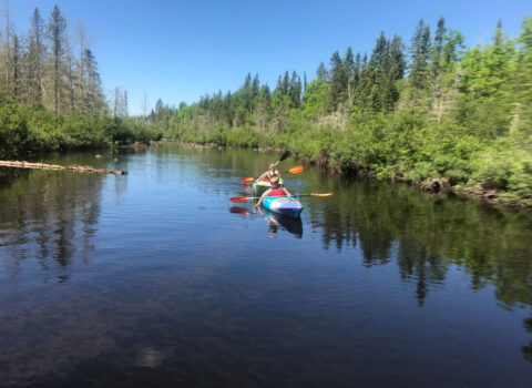 Brule River Canoe Kayak Rentals Wisconsin